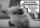 Your Head Asplode
