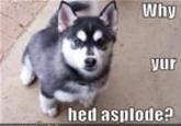 Your Head Asplode