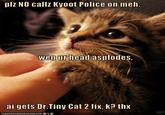 Your Head Asplode