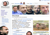 2010 Wikipedia Fundraising Campaign
