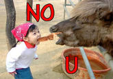 Girl Yelling at Yak
