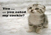 I Made You a Cookie, But I Eated It