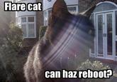 Need Moar Lens Flare