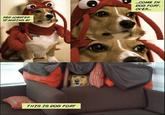Dog Fort