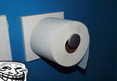 The Great Toilet Paper Debate