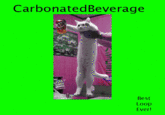Longcat