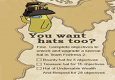 Hat Fortress 2