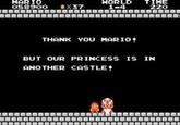 But Our Princess is in Another Castle!