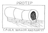 PROTIP