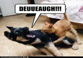 DEUUEAUGH