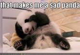 Sad Panda