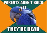 Paranoid Parrot