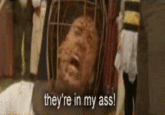 NOT THE BEES!