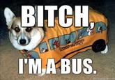 Bitch I'm a Bus
