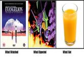 What I Watched / What I Expected / What I Got