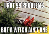 I Got 99 Problems But a Bitch Ain't One