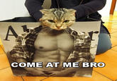 COME AT ME BRO