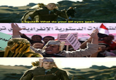 What do your elf eyes see?