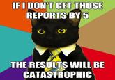 Business Cat