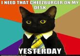 Business Cat