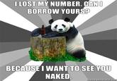 Pickup Line Panda