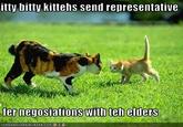 Itteh Bitteh Kitteh Committeh