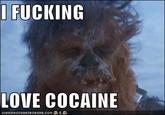 I Fucking Love Cocaine / Cocaine Bear