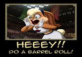 Do A Barrel Roll