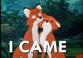 I Came
