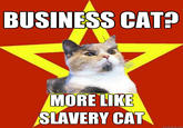 Lenin Cat