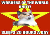 Lenin Cat
