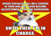 Lenin Cat
