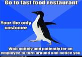 Socially Awkward Penguin