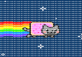 Nyan Cat / Pop Tart Cat