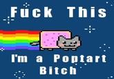 Nyan Cat / Pop Tart Cat