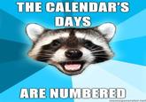 Lame Pun Coon