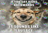 Stoner Dog