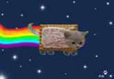 Nyan Cat / Pop Tart Cat