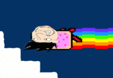 Nyan Cat / Pop Tart Cat