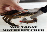 Sad Crab / This Kills The Crab