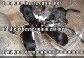 They're Eating Her... OH MY GOD!