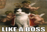 Like A Boss