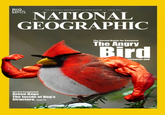 Birds with Arms