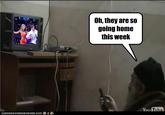 What's Osama Bin Watchin'?