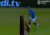 Diouf Trips