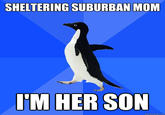 Sheltering Suburban Mom