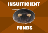 Poverty Rat