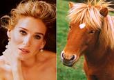Sarah Jessica Parker Looks Like a Horse