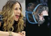 Sarah Jessica Parker Looks Like a Horse