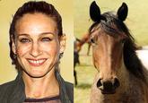 Sarah Jessica Parker Looks Like a Horse